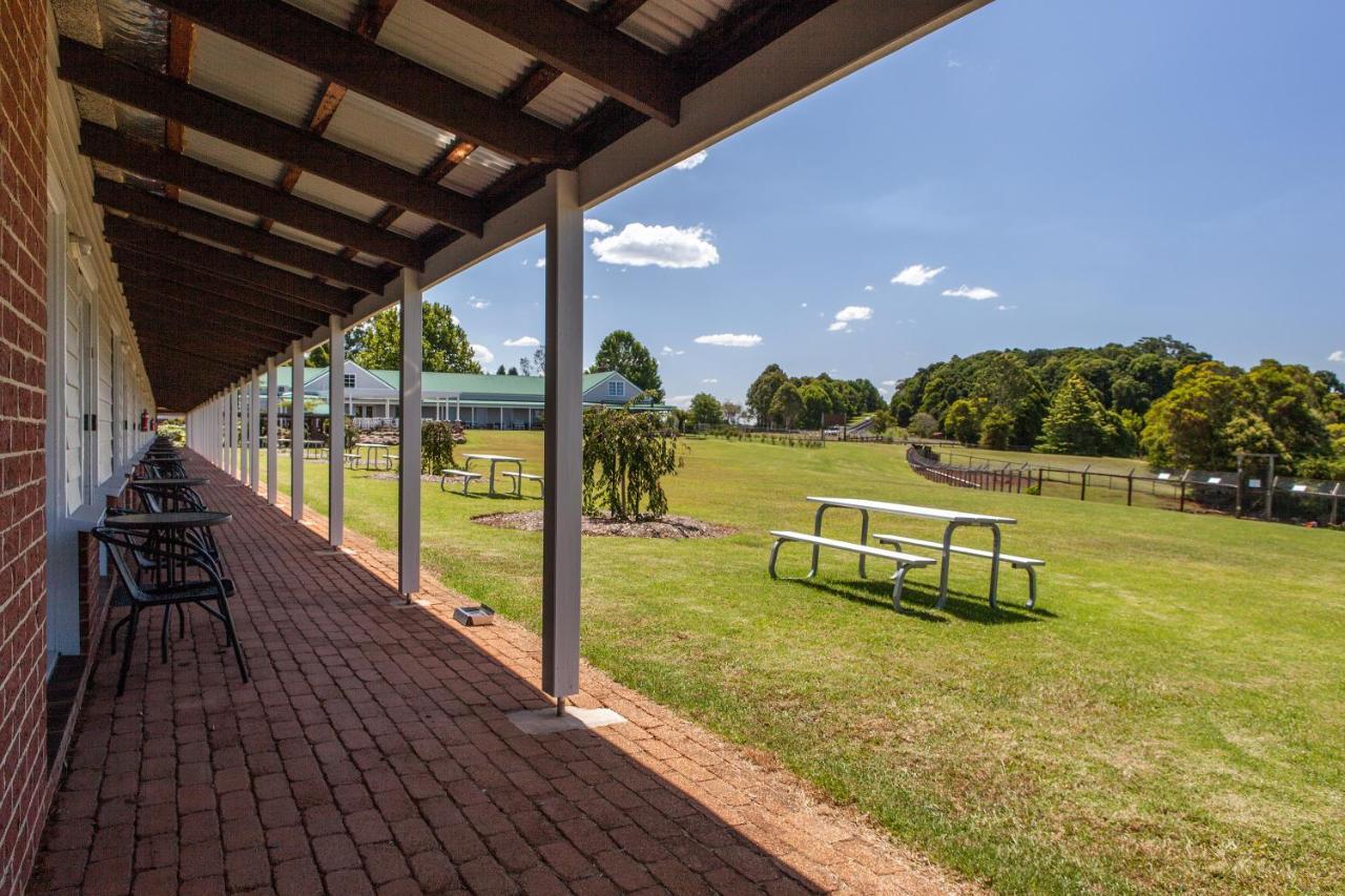 Lookout Mountain Retreat Motel Dorrigo Exterior photo